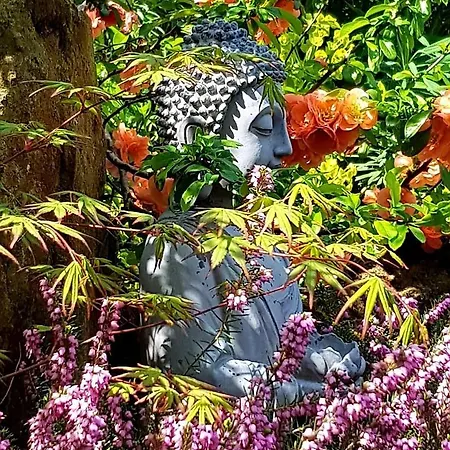 A Location De D'hote - Double Perspective * La Perriere (Orne)