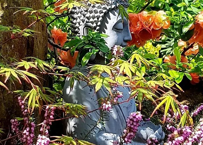 A Location De D'hote - Double Perspective * La Perriere (Orne)